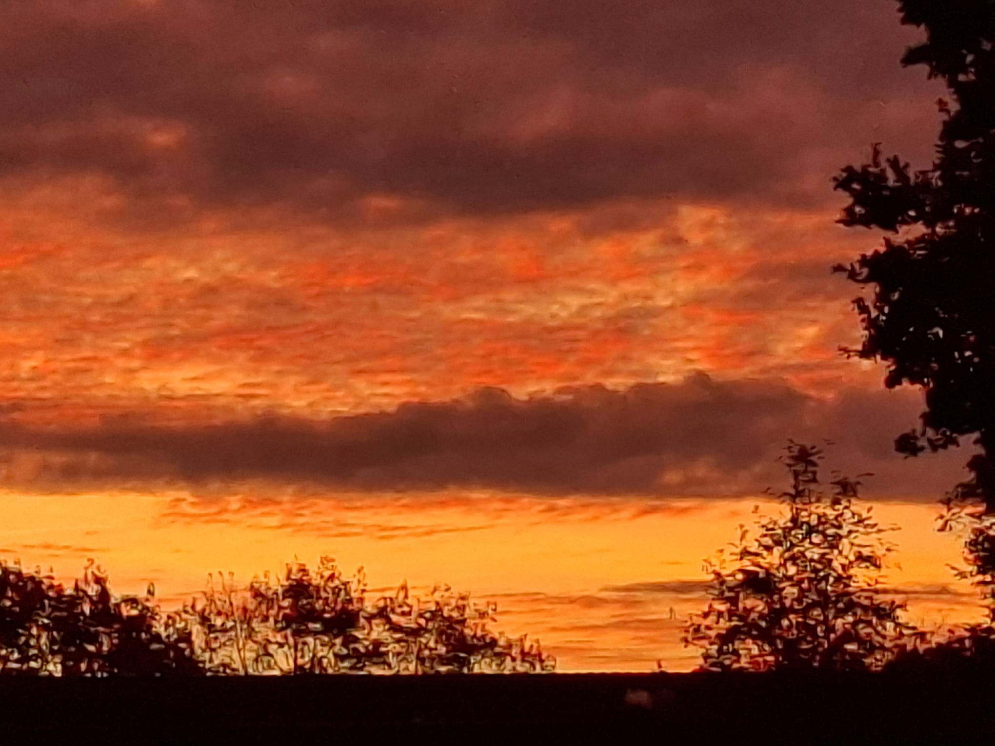 OPEN SKY